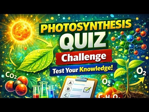 photosynthesis Quiz