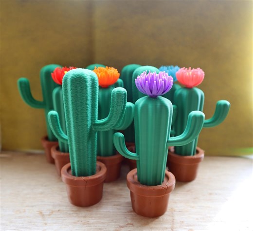 Cactus Home or Office Decor, 3D Printed Cacti Plant Pot - Etsy UK