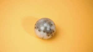 12-Pack Sensory Stress Ball Set Fidget Mesh Ball Decompression Squeeze Toy TPR & Waterbeads for Boys and Girls Aged 5-7 Years