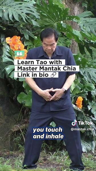 Learn Tao Practices with Master Mantak Chia