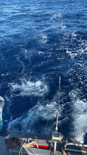 Paere 🐟##CapCut #pourtoi #goprohero9 #arutualifestyle😍 #fishing #frechpolynesia #foryou