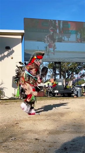 Brighton Field Day Festival Chicken Dancer Nkdchkn #indigenous #powwow #chickendance #culture #fpy