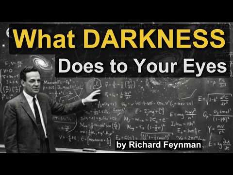 What Happens When You Look at the Night Sky