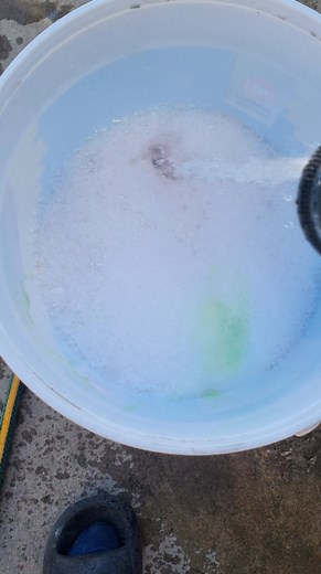 Water in a bucket. Following Meguiar's Midas General Motors Maxshine Detailing Community Mikes Place Engine Importers Detail Ease Detailing Central Detailing Heaven Turtle Wax Hollywoodbets SA Hollywood Foundation BMW South Africa | Wish U Could Wash