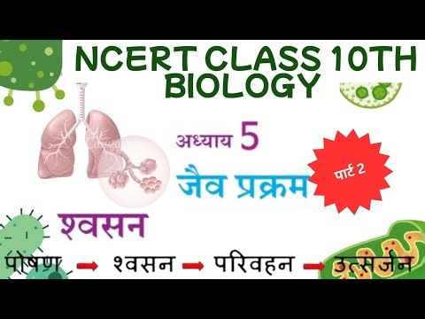 श्वसन तंत्र।। NCERT CLASS 10TH BIOLOGY 🧬 respiratory system 👈