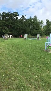 1.8K views · 24 reactions | The Game Fair has opened at Hatfield House today. Here's a snippet from the Tylers sponsored equestrian ring this morning. | Welwyn Hatfield Times | Facebook