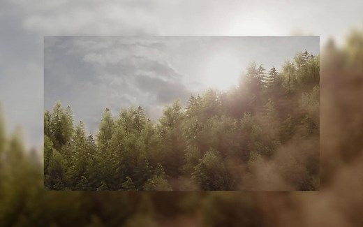 【C4D教程】使用OC制作雾气自然场景