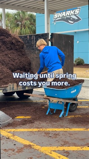 ClearView Landscaping on Instagram: "Most people wait until spring to refresh their beds. 🌷 👉 The smarter move? Do it now. In winter, mulch works harder: • Insulates roots during cold snaps • Suppresses weeds before they sprout • Holds moisture for healthier spring growth • Gives your landscape a clean, finished look And right now, we’re running a winter special: Mulch is FREE. You only pay for labor. 🙌 It’s the easiest way to get ahead of spring and make your yard look intentional, not rushe