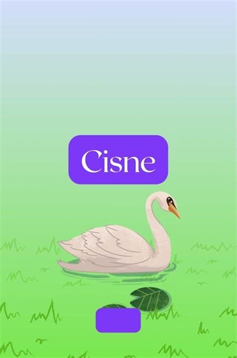 Bird Names in Spanish 1 — 5 Easy Words 🕊️ | Nombres de aves