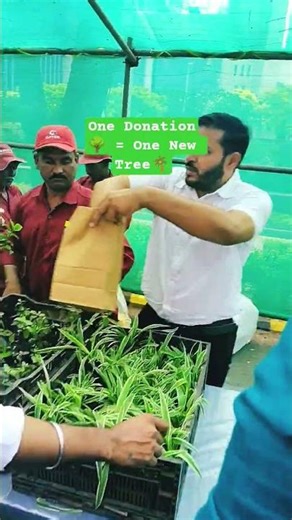 Tree Plant Donation Drive 🌳