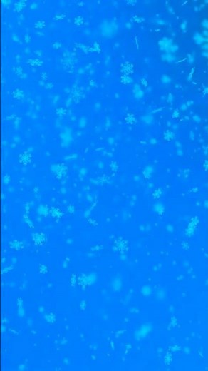 What Is the Freezing Temperature? ❄️
