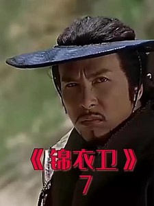 第七集：甄子丹经典武侠电影《锦衣卫》#古装武侠 #战斗力爆表 #锦衣卫