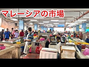 Malaysian market full of tropical fish is so much fun