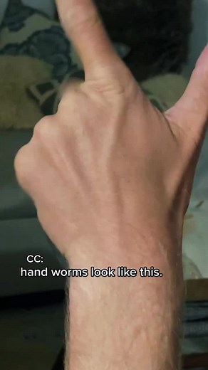 Sean Kolar on TikTok