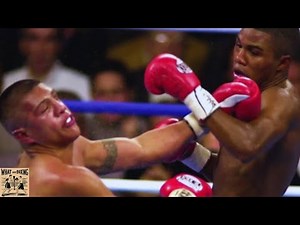 The Most Beautiful Punches Ever Landed!