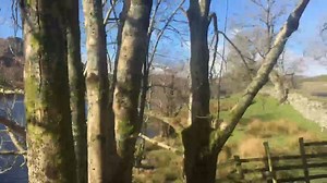 A beautiful beautiful morning in the Lake District ⛰☀️😄 | Grasmere Gingerbread