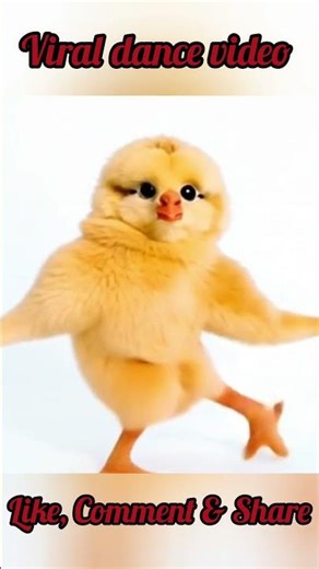 Funny Baby Hen Dance That Will Make You Smile 😂