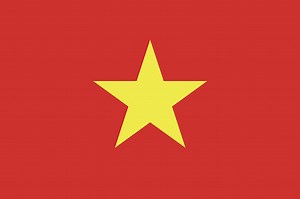 Vietnam flag. Standard size. The official ratio. A rectangular flag....