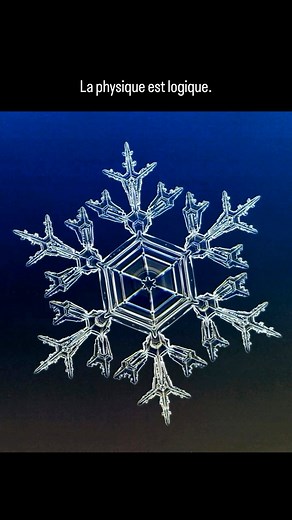 Un flocon de neige possède une structure fractale. La structure se reproduit aux différentes échelles. C’est l’auto-similarité. La croissance du flocon de neige en est responsable. La structure hexagonale de la glace impose la structure d’étoile à six branches. Le côté dentelle provient de la manière dont le flocon grandit dans le nuage. La vidéo que vous voyez ici a été réalisée au laboratoire, par Kenneth G. Libbrecht, professeur de physique au California Institute of Technology (Caltech), là