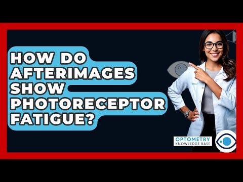 How Do Afterimages Show Photoreceptor Fatigue? - Optometry Knowledge Base