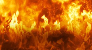 Green Screen Wizard Professional 9.0 Crack