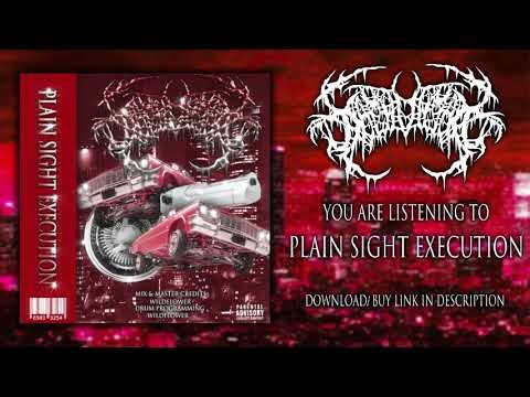 [SOLD] PEELINGFLESH/Brutal Slamming Death Metal Type Beat "Plain Sight Execution" | Prod.Zachu
