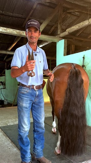#farrier #farriersoftiktok #horse #animalwelfare #asmr | horses videos
