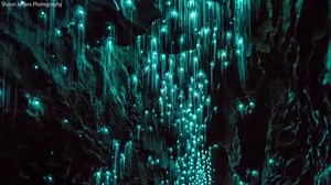 25K views · 423 reactions | Ruakuri Cave in New Zealand has a...