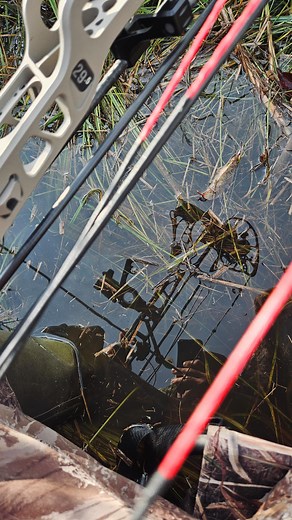6.8K views · 133 reactions | Would you sit here? Deer are moving through a funnel against a swamp edge and the only cover within shooting distance are cattails, do you build a blind and get wet? Video: Leo Van Beck #dialedarchery #bowhunting #whitetail #deerhunting | Dialed Archery | Facebook