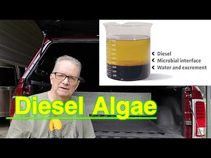 #1 Fuel Stoppage is Diesel Algae