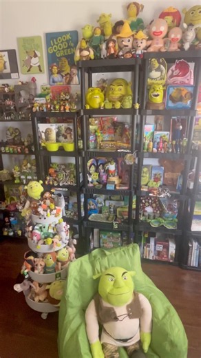 POV: Ur a Fly in My Shrek Swamp