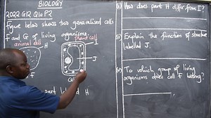 2.4K reactions · 45 shares | BIOLOGY- 2022 G12 Q1a P2 NOTE: Reliable online tuitions are available. Join us now! 0777448440 Subjects available: 1. English 2. Maths 3. Science 4. Biology AT K100 PER SUBJECT PER MONTH | Introductory Learning | Facebook