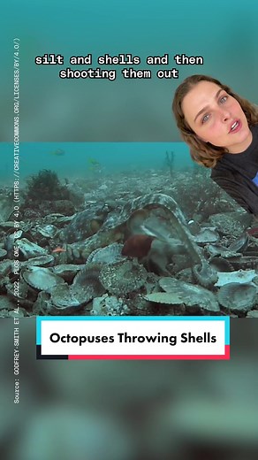 Octopuses Throwing Shells: A Surprising Behavior