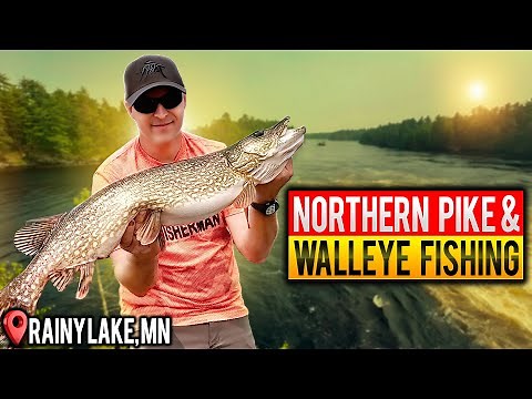 Walleye & Pike Fishing on Rainy Lake – Northern Minnesota Adventure!
