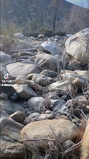 gold prospecting on the Kern River California