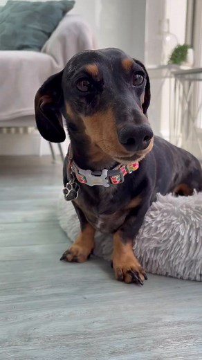 Happy #whitwoowednesday guys 🤭 | Emily Johnson