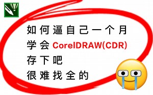 【40集精华版】花了3W买来的！目前B站最完整的CorelDRAW教程，大佬亲自教学！！肝完CDR入门级教程，即可兼职接稿！秒变设计大神
