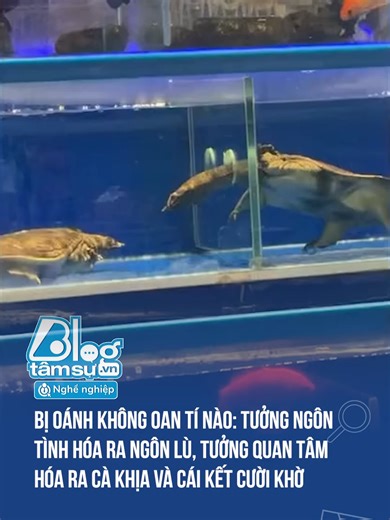 Khám Phá Thế Giới Động Vật Vô Cùng Vui Nhộn