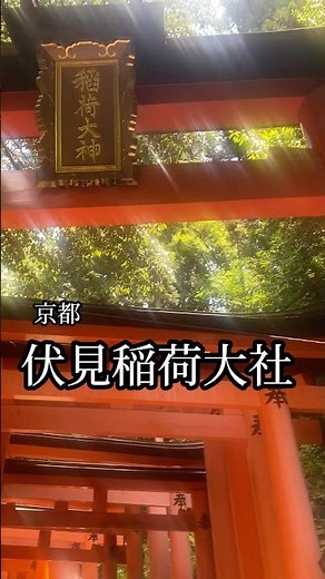 伏見稲荷大社は凄かった⛩️ A shrine worth visiting: Fushimi Inari Shrine #神社