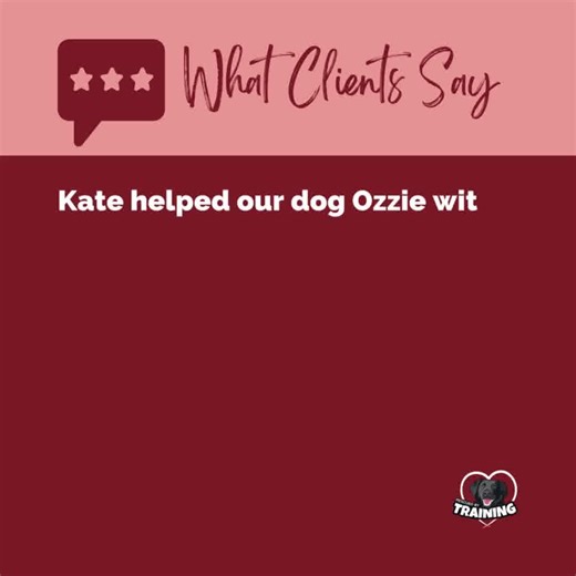 If your dog is struggling with home alone time, you might feel like you have tried everything to help them. But what you really need is a systematic training plan that is custom-tailored to your dog's unique needs. You also need a cheerleader - someone to lift you up when you're feeling defeated and troubleshoot when you're stuck. This is the kind of support you'll get when you work with me 1:1 on your dog's separation anxiety. You can grab an initial video assessment to get started and I can ge
