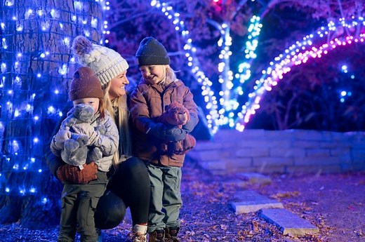 5.4K views · 78 reactions | The most magical time of the year has...