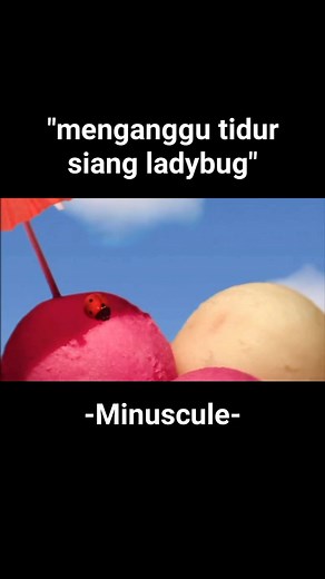 #VOD #minuscule #movies #series #ladybug #funny #animation #compilation #fypagee #viral #trending #foryou #love #digitalcreator #fyp #semuaorang #masukberanda | Kang Rahmat