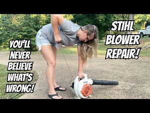 Stihl Blower's gas disappeared! Pull rope won't work? This small engine has issues! Repair/Vlog