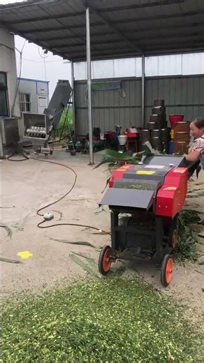 Automated Hay & Silk Kneading Machine - Lawn Mower