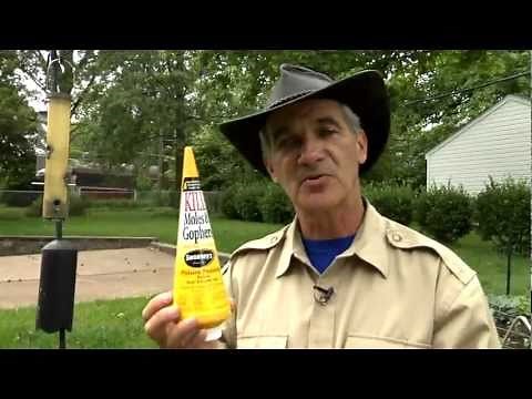 Kill moles and gophers with Sweeney's Poison Peanuts