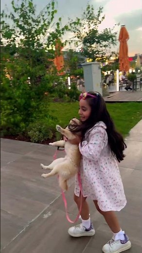 Angry dog ​​peed on the girl!! #explore #shorts