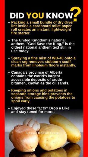 Did you know? #facts