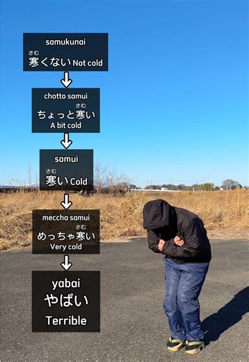 🥶🥶🥶 samukunai 寒くない Not cold chotto samui ちょっと寒い A bit cold samui 寒い Cold meccha samui めっちゃ寒い Very cold yabai やばい Terrible #japanese #learnjapanese #japaneselesson #nihongo #japan