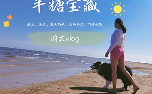 周末vlog，游泳，看海，陪狗狗玩，住在海边的快乐生活。