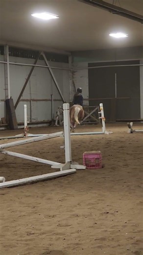 wednesday lesson #pony #equestrian #lesson #horsebackriding #jumping #slowmo